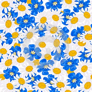 Daisy and blue flowers, seamless pattern Vector. flax, chamomile wildflower heads