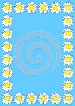 Daisy border