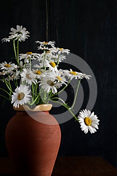 Daisy Bouquet in Brown Clay Vase Dark Background White Flowers