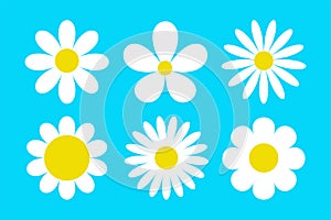 Daisy Camomile set line. White chamomile icon. Growing concept. Cute round flower plant collection. Love card sign symbol. Sticker