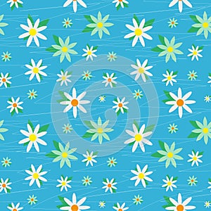 Daisy chamomile field meadow spring summer flowers seamless pattern on light blue sky background. Trendy ditsy floral