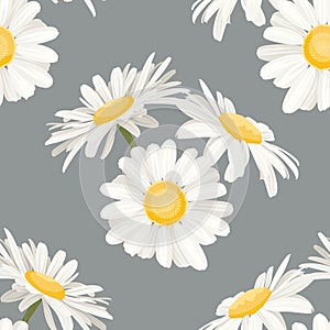 Daisy chamomile field meadow spring summer white yellow flowers seamless pattern on light gray background.