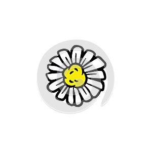 Daisy chamomile flower doodle isolated on white background vector illustration. Hand drawn camomile icon glyph