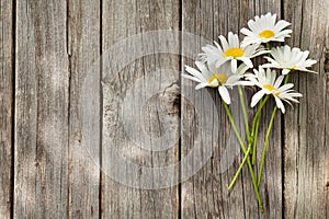 Daisy chamomile flowers bouquet