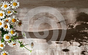 Daisy or chamomile flowers bouquet with contrast shadow from the vase on the wooden background. Top view.