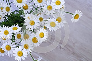 Daisy or chamomile flowers bouquet on the wooden background. Top view