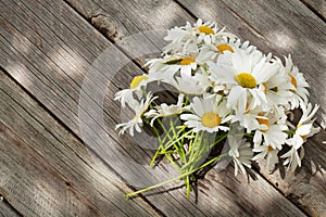 Daisy chamomile flowers on wood