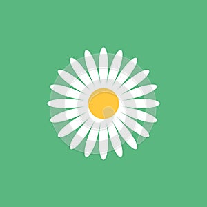 Daisy chamomile icon in flat style. Flower vector illustration on isolated background. Floral sign business concept