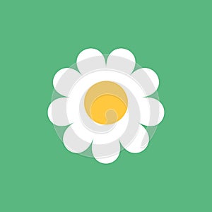 Daisy chamomile icon in flat style. Flower vector illustration on isolated background. Floral sign business concept