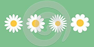 Daisy chamomile icons set in flat style. Flower vector illustration on isolated background. Floral sign business concept