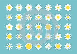 Daisy chamomile linear icons. Colored set vector thin line illustration. Blooming flower petals yellow and white