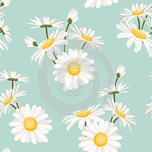 Daisy chamomile spring summer flowers pattern