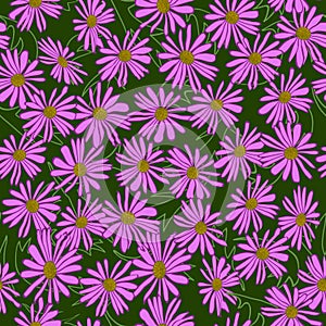 Daisy floral colorful springtime seamless pattern
