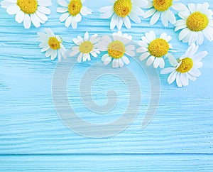 Daisy flower on blue wooden background composition frame