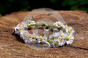 Daisy flower bracelet in the sun on a wooden surface