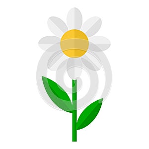 Daisy Flower Flat Icon Isolated on White