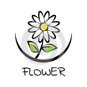 Daisy flower logo for flower shop