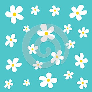 Daisy flower pattern. White chamomile camomile icon set. Cute plant collection. Growing concept. Wrapping paper textile template.