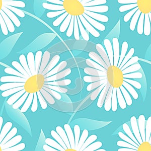 Daisy flower in a seamless pattern