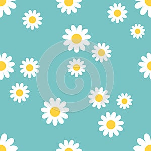 Daisy flower seamless pattern White chamomile icon. Cute plant collection. Growing concept. Wrapping paper textile template. Green