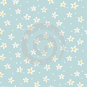 Daisy flower seamless pattern with whote daisy on light blue background. Flat hand drawn vector illustration. Cute
