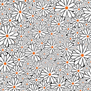 Daisy Flower Surface Background Pattern