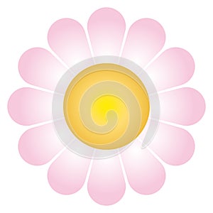 Daisy flower (vector) photo