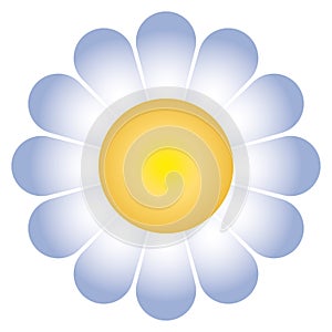 Daisy flower (vector) photo