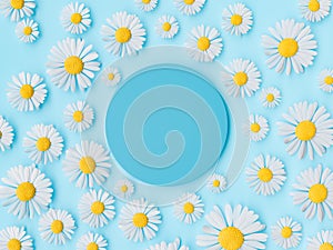 Daisy Flowers Arranged Around a Circular Blue Copy Space