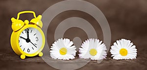 Daisy flowers and clock, daylight savings, spring or summer banner