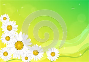 Daisy flowers with copyspace for a text