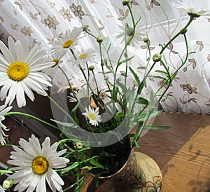 Daisy flowers in the decorative clay jar