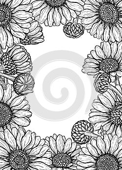 Daisy flowers design elements set