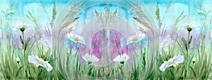 Daisy flowers field on the background of sky and grass. Meadow grasses. Watercolor. Seamless pattern.