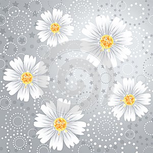 Daisy flowers on gray background.