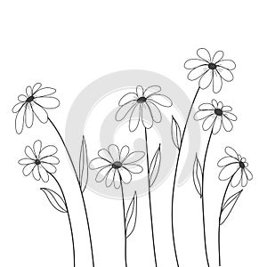 Daisy flowers hand drawn vector for background , decorate, cover photo