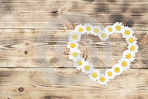 daisy flowers heart shaped on wooden background