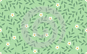 Daisy flowers leaf branches Seamless pattern decorative ornamental background design vector