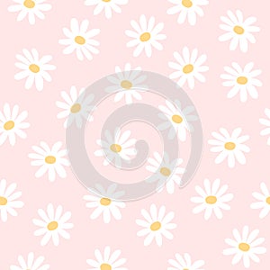 Daisy flowers seamless pattern background