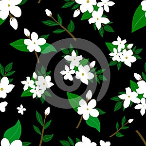 Daisy flowers seamless pattern on black background