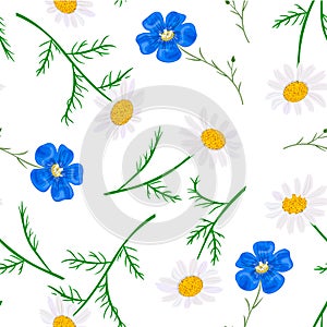 Daisy and forget-me-not. seamless pattern Vector flowers set. floral collection