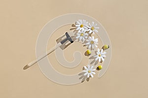 Daisy and garden rake creative minimal background. Neutral beige table flat lay. Garden, floral, season concept