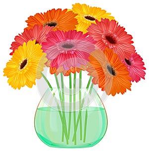 Daisy gerbera flower bouquet in glass vase