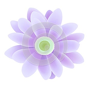 Daisy - hand made clipping path included