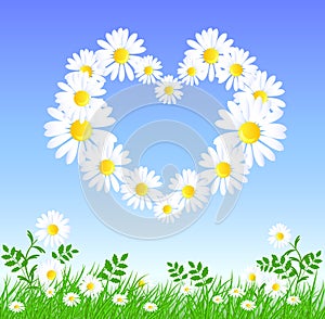 Daisy heart