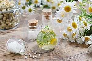 Daisy infusion bottle, Chamomile flowers, bottles of homeopathic globules and jar of dry daisies