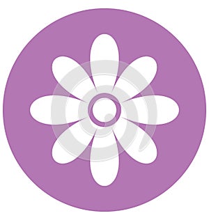 Daisy Isolate Vector Icon Editable