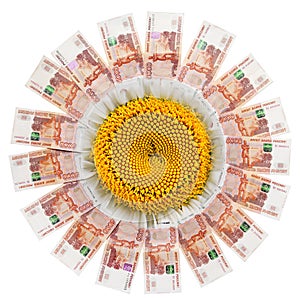 Daisy with petals of Russian banknotes.