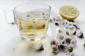 Daisy tea