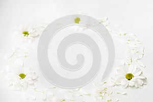 Daisy wreath white herbera circle minimal decor